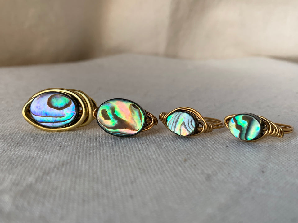 Abalone seashell